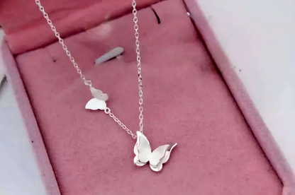 سلسلة الفراشتين