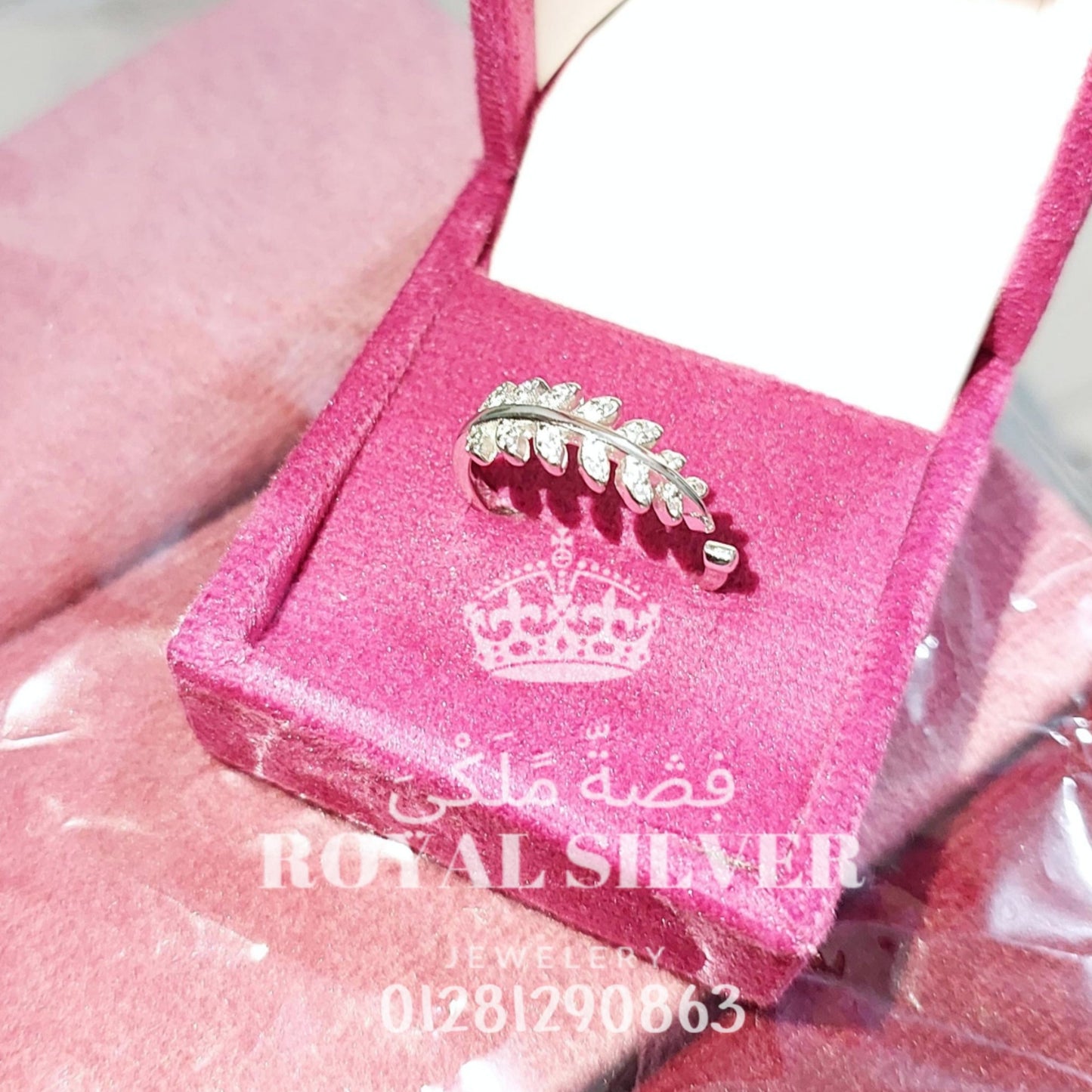 حلقة الريشة (ورقة الشجر)