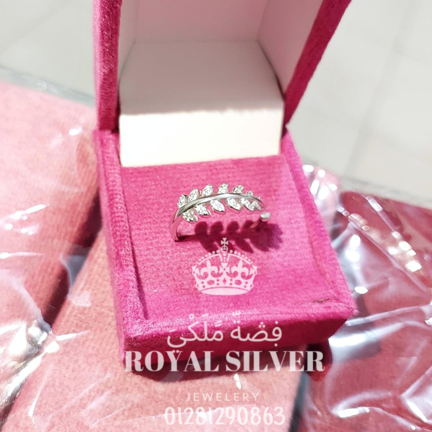 حلقة الريشة (ورقة الشجر)